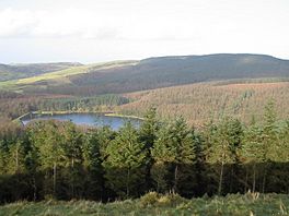 Macclesfield Forest+Trentabank.jpg