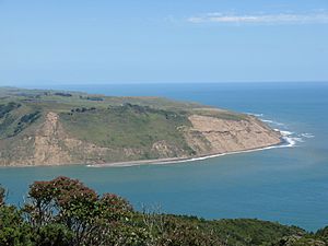 Manukau Harbour south head