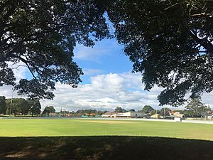 Marrickville Oval