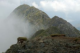 Moldoveanu from Vistea Mare