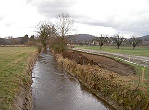 Neuer Teich Revitalisiserungs- maßnahmen 04.03.2008