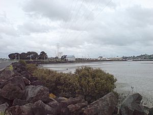 Onehunga Foreshore Western Side