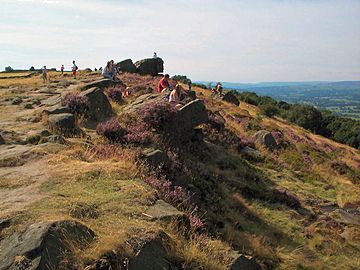 Otleychevin.jpg