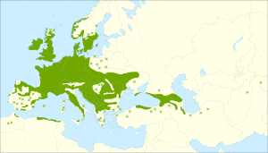 Prunus avium range.svg