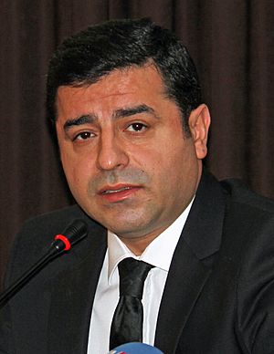 Selahattin Demirtaş 2015-12-18 (cropped).jpg