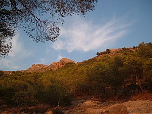 Sierra de la Villa. Castillo de Salvatierra durante la puesta de sol