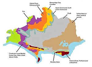 Simplified Geology Map of Dorset