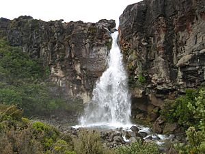 TaranakiFalls