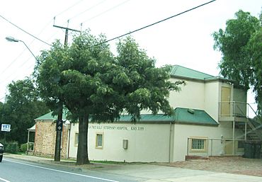 Tea tree gully vet hospital.jpg