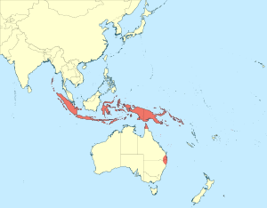 Tramea eurybia distribution map.svg