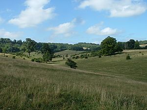 Tring park south.jpg