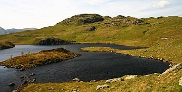 Anlge tarn pikes.jpg