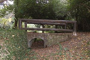 Bridge over a ha-ha in woodland, Cranford Park - geograph.org.uk - 1013363