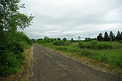 Camp Adair old foundations.JPG