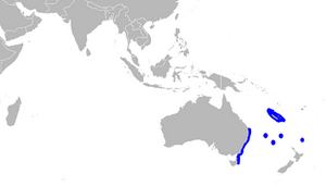 Centrophorus harrissoni distmap.png