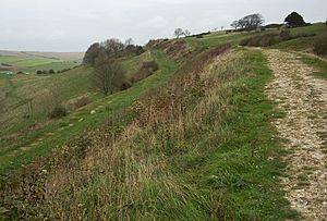 Cissbury Ring rampart 5.JPG