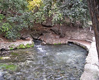 Comal springs 2007.jpg