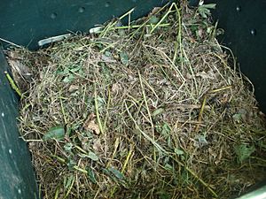 Compost pile