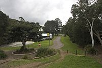 Cooper Street Reserve