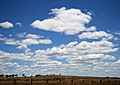 Cumulus humilis clouds