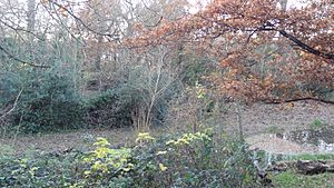 Dacres Wood 3