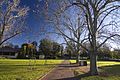 Dubbo NSW 2830, Australia - panoramio (27)