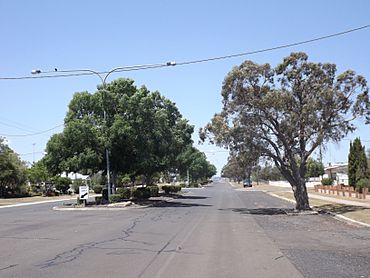 Eton Street Cambooya.jpg