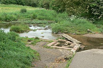 Farleys Lane Spring-geograph-1907600.jpg