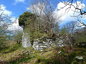 Garlies Castle, Minnigaff (2)