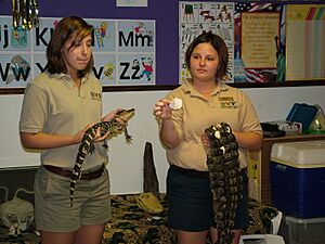 Gator Demonstration