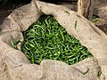 Green chillies