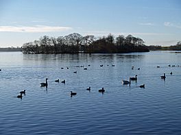 Image of a lake with an island in the middle