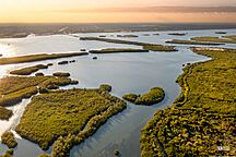 Indian River Lagoon Area