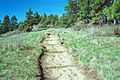 Kamiak Butte Pine Ridge Trail