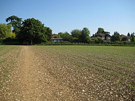 ploughed field