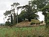 Knockroe-Rathvilly Motte.jpg