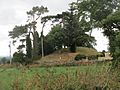 Knockroe-Rathvilly Motte