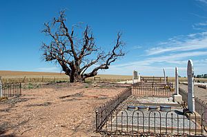 Kybunga-cemetery