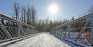 Larch Sanctuary bridge