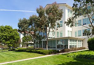 Letterman Digital Arts Center, Building B (side view)