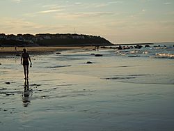 Low tide at Priscilla Beach