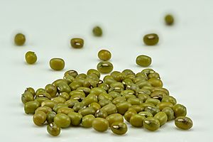 Mung beans (Vigna radiata).jpg