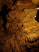 NaturalBridgeCaverns2