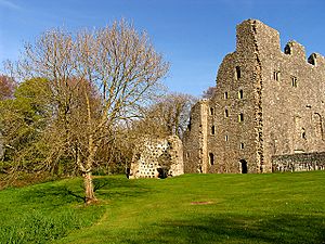 Oxwich Castle 4