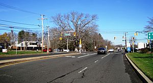 Looking north along Applegarth Road (CR 619) towards Prospect Plains Road (CR 614)