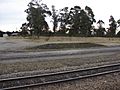 Rolleston railway station 02