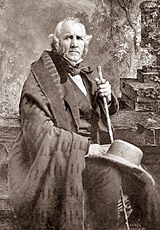 Sam Houston by Mathew Brady