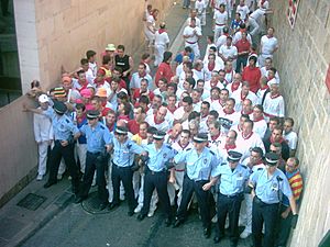 Sanfermin2006