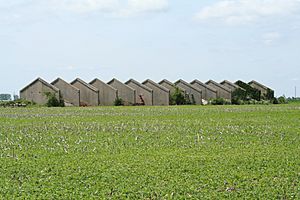 Sangamon Ordnance Plant ruins