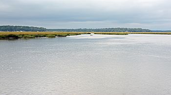 Sapelo River, McIntosh County, GA, US.jpg